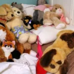 idealna pluszowa zabawka